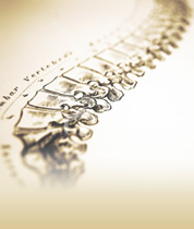 Team Lopez Chiropractic